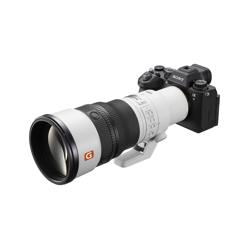 Sony FE 600mm F6.3 GM OSS