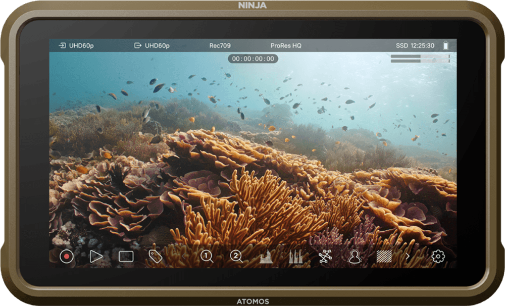 Atomos  Ninja, 5-inch, 1000nit HDR monitor-recorder for DSLR and mirrorless cameras