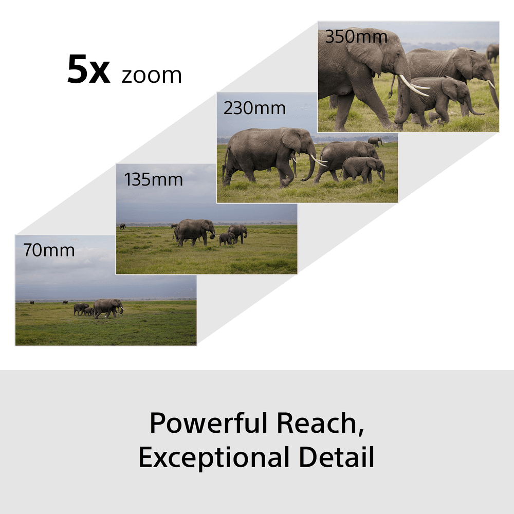 Sony A6700 Wildlife Kit PZ 16–50 + 70-350mm