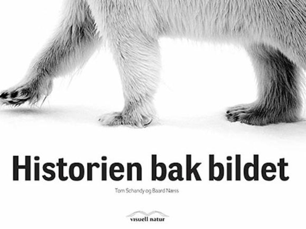 Historien bak bildet