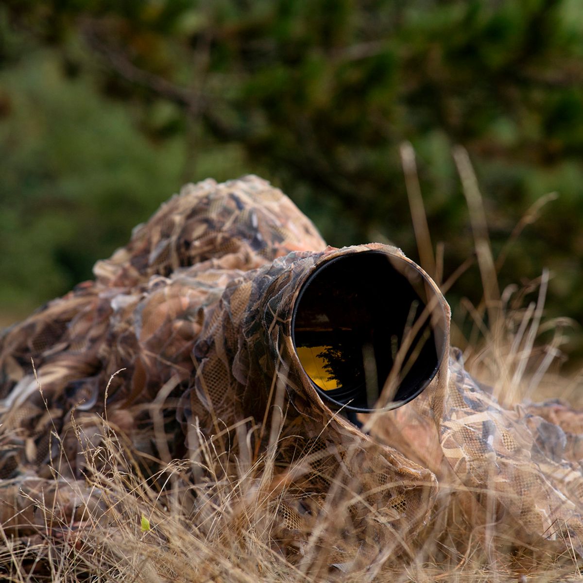 Caruba Kamuflasjenett Reed