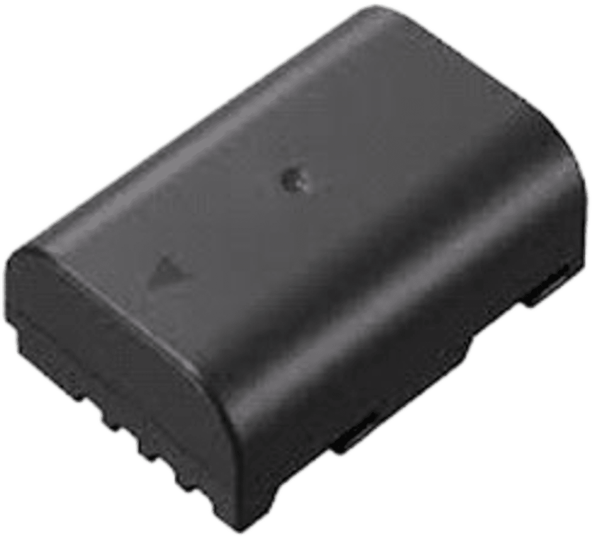 Panasonic Batteri DMW-BLF19E