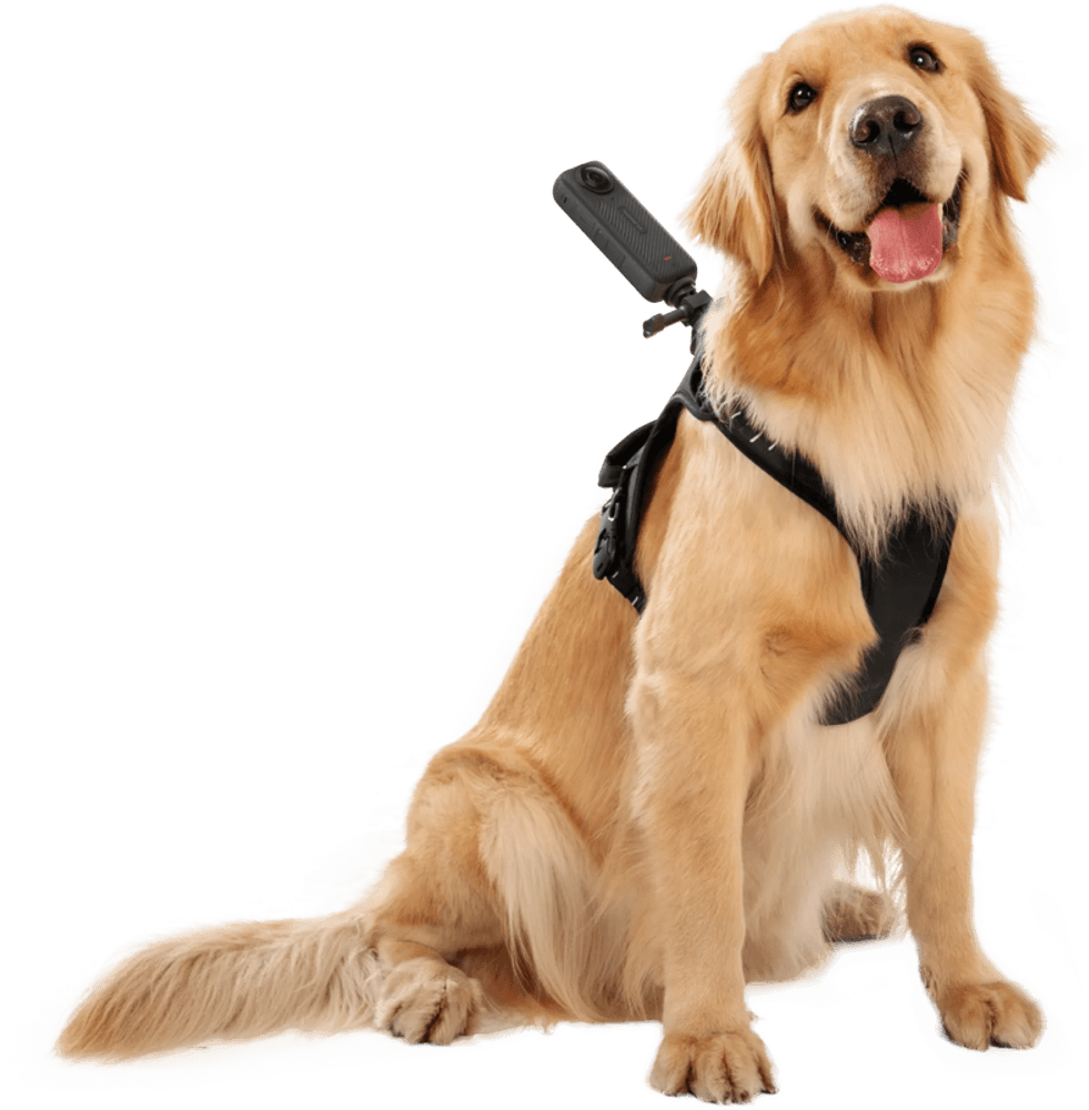 Insta360 Pet Harness Mount Size L