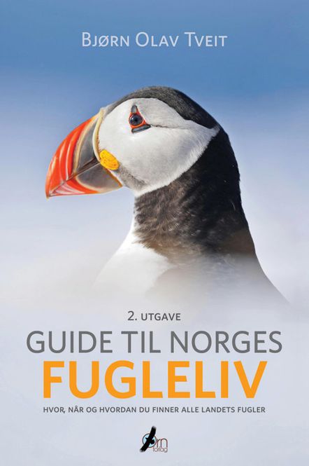 Hovedbilde Guide til Norges fugleliv